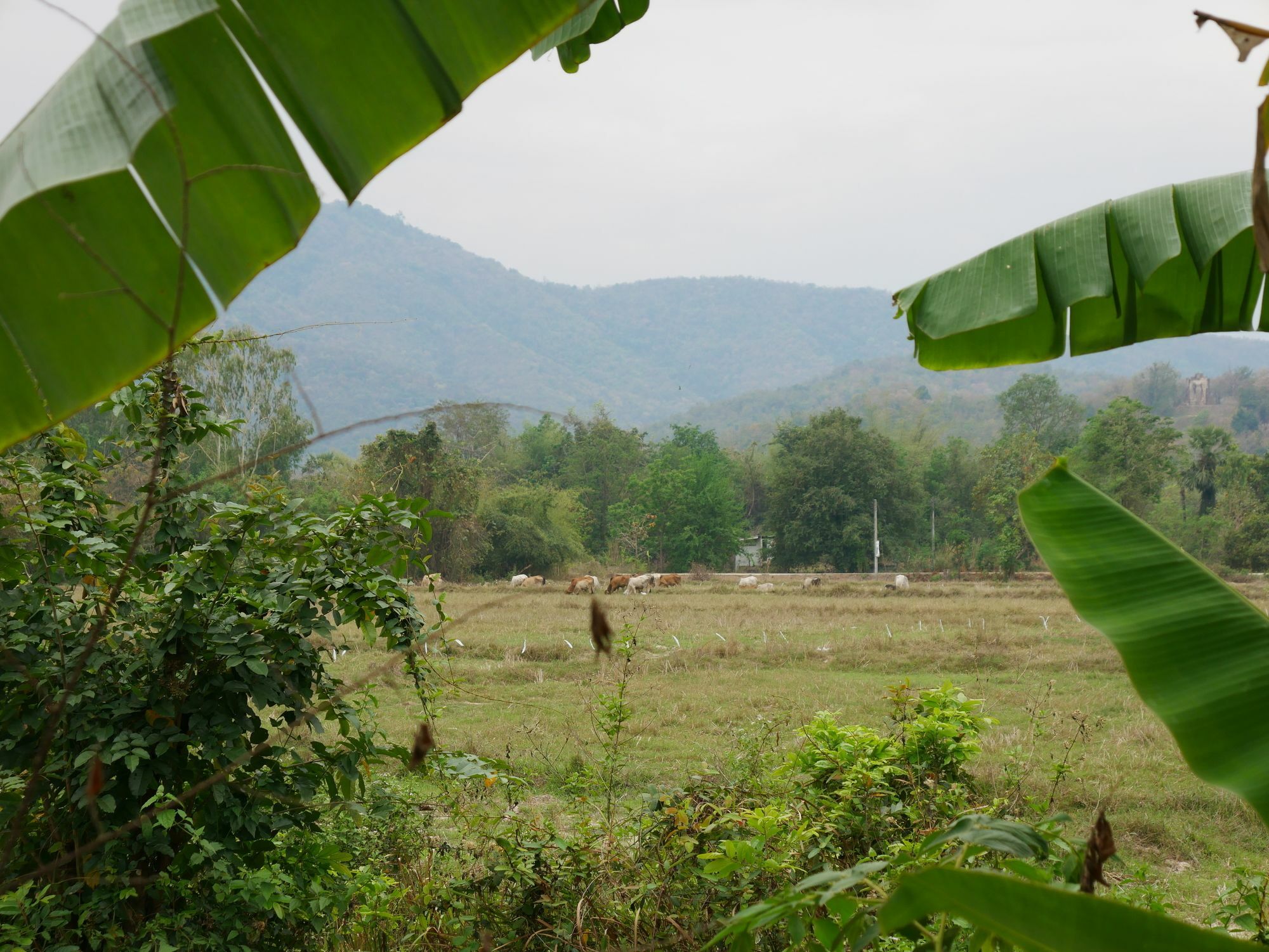 Doi Fah Homestay 수코타이 외부 사진